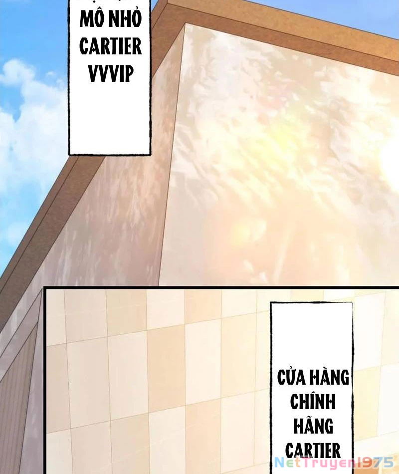 Trọng Sinh Không Làm Chạn Vương, Tôi Một Mình Nạp Game Thăng Cấp Chapter 224 - 26