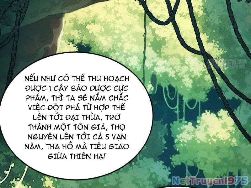 Gặp Mạnh Thì Mạnh, Ta Tu Vi Vô Thượng Hạn Chapter 43 - 113