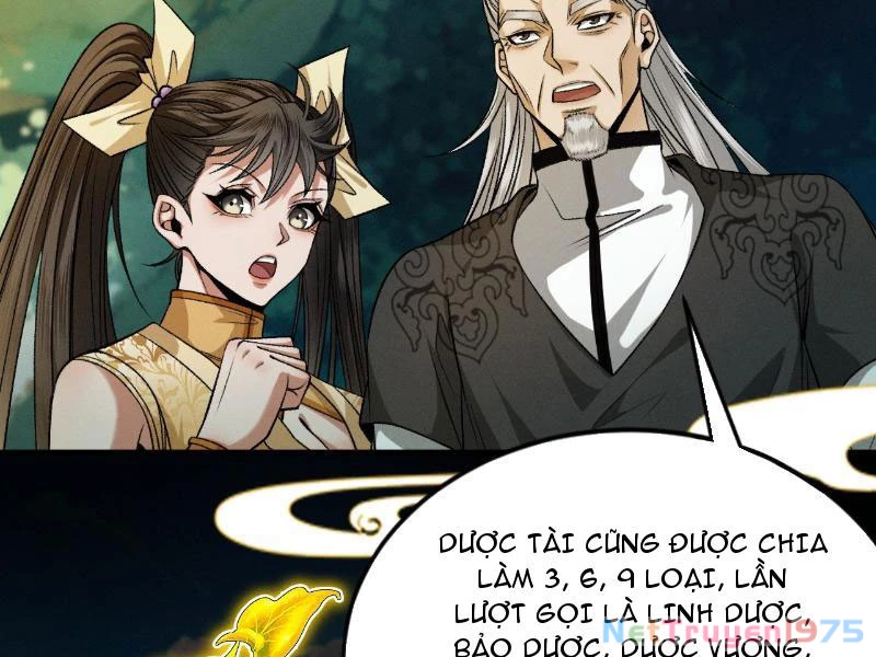 Gặp Mạnh Thì Mạnh, Ta Tu Vi Vô Thượng Hạn Chapter 43 - 117