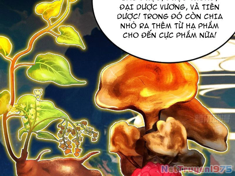 Gặp Mạnh Thì Mạnh, Ta Tu Vi Vô Thượng Hạn Chapter 43 - 118