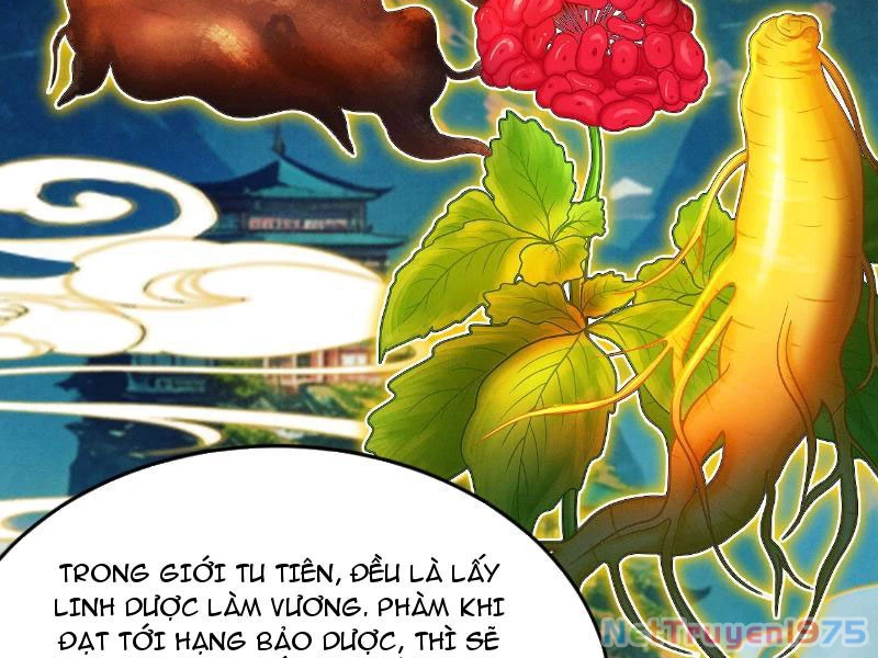 Gặp Mạnh Thì Mạnh, Ta Tu Vi Vô Thượng Hạn Chapter 43 - 119
