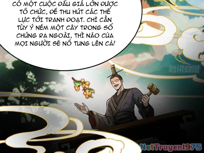 Gặp Mạnh Thì Mạnh, Ta Tu Vi Vô Thượng Hạn Chapter 43 - 120