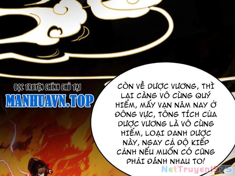 Gặp Mạnh Thì Mạnh, Ta Tu Vi Vô Thượng Hạn Chapter 43 - 121