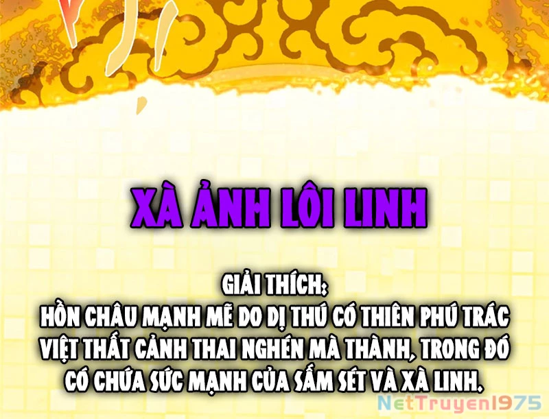 Chưởng Môn Khiêm Tốn Chút Chapter 499 - 4