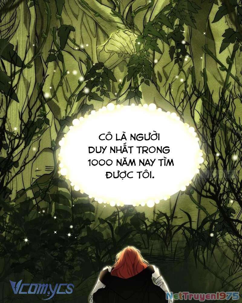 Cô Ấy Sẽ Thuần Hóa Các Anh Hùng Chapter 1 - 73