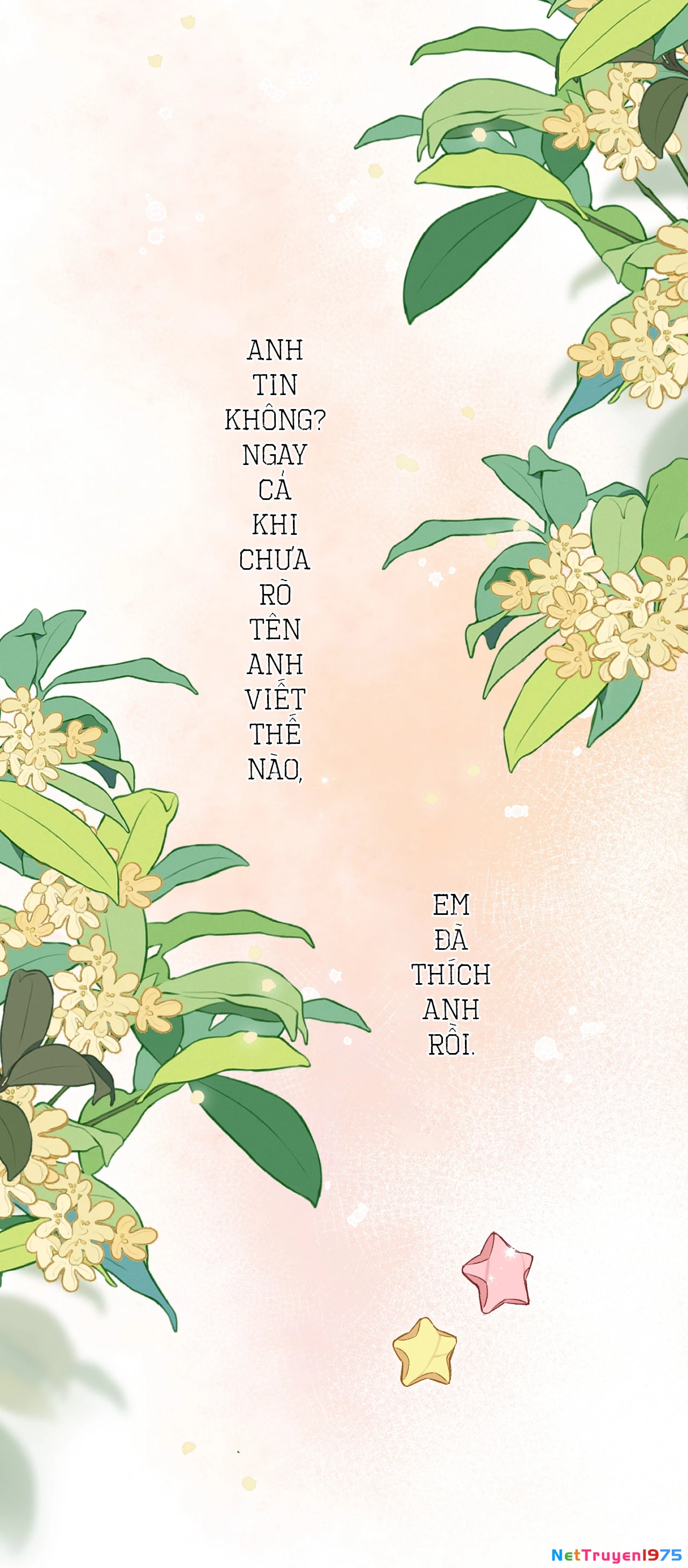 Vụng Trộm Giấu Không Được Chapter 129.2 - 6