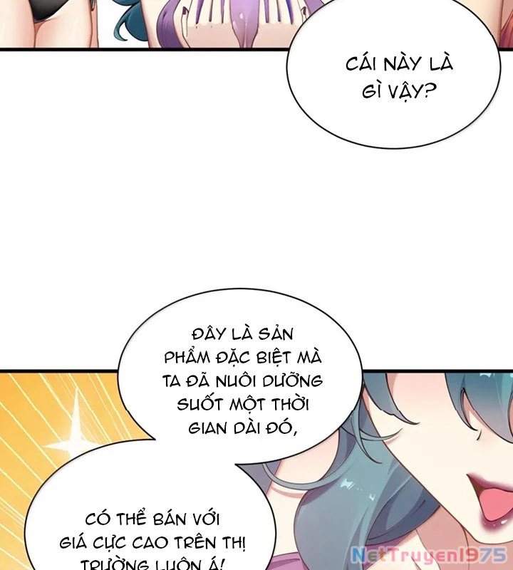 Thánh Nữ, Xin Hãy Dừng Ngay Những Trò Quái Đản Của Cô Đi!! Chapter 130 - 10