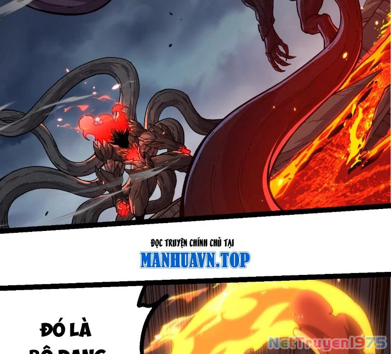 Chuyển Sinh Thành Liễu Đột Biến Chapter 372 - 2