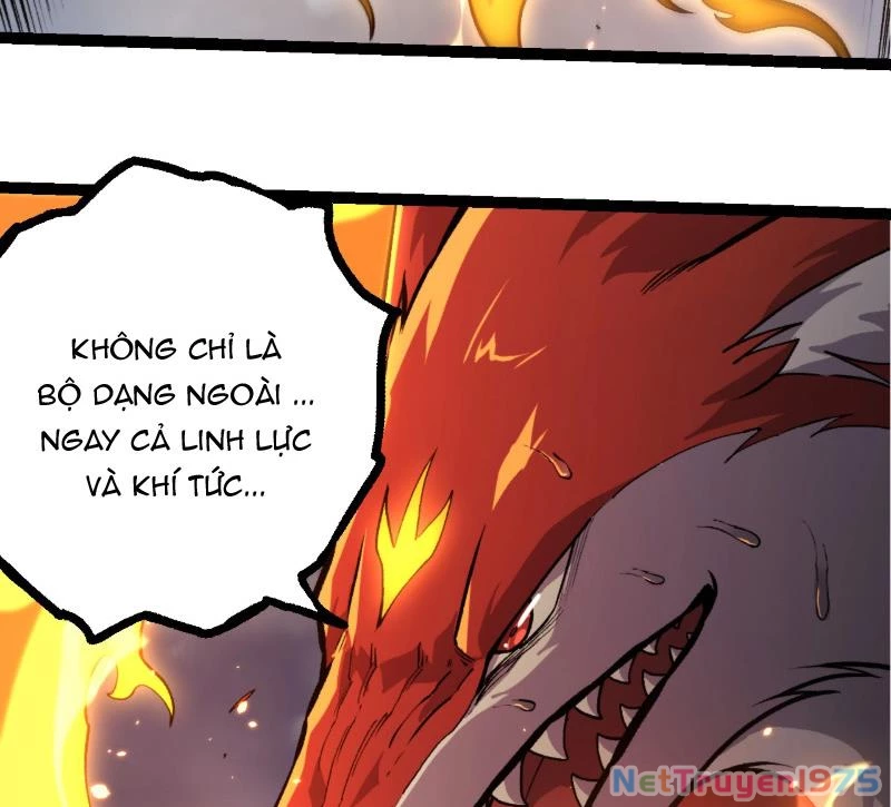 Chuyển Sinh Thành Liễu Đột Biến Chapter 372 - 4