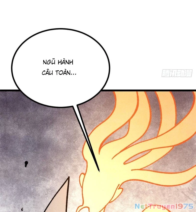 Vạn Cổ Tối Cường Tông Chapter 423 - 49