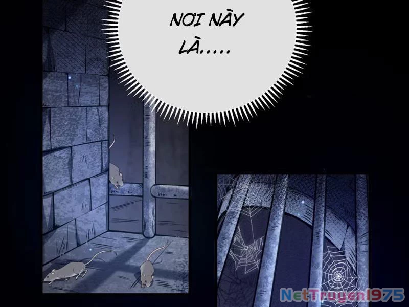 Toàn Bộ Fan Của Ta Đều Là Ma Nữ Chapter 1 - Trang 2