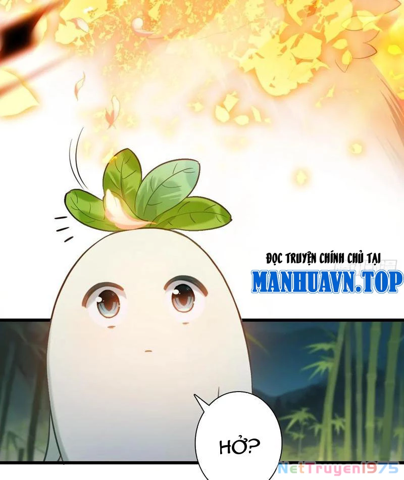 Đừng Xem Thường Một Củ Cải Chapter 16 - 55