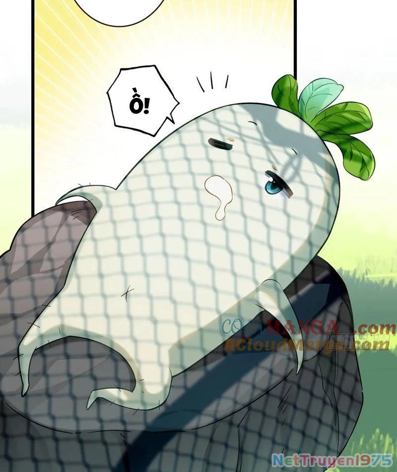 Đừng Xem Thường Một Củ Cải Chapter 17 - 5