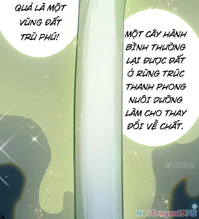 Đừng Xem Thường Một Củ Cải Chapter 18 - 10