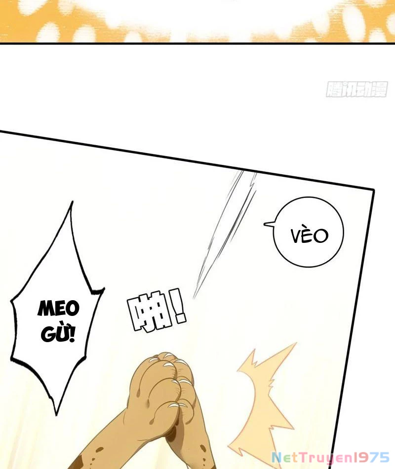 Đừng Xem Thường Một Củ Cải Chapter 37 - 50