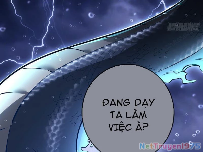 Đừng Xem Thường Một Củ Cải Chapter 41 - 99