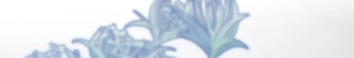 Sát Long Nhân Hồi Quy Siêu Việt Chapter 39 - 166