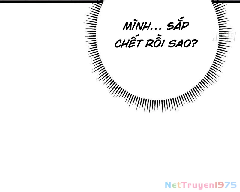 Chưởng Môn Khiêm Tốn Chút Chapter 500 - 105
