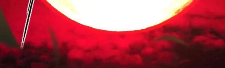 Mệnh Luân Chi Chủ! Khi Dị Biến Giáng Lâm Nhân Gian! Chapter 119 - 2