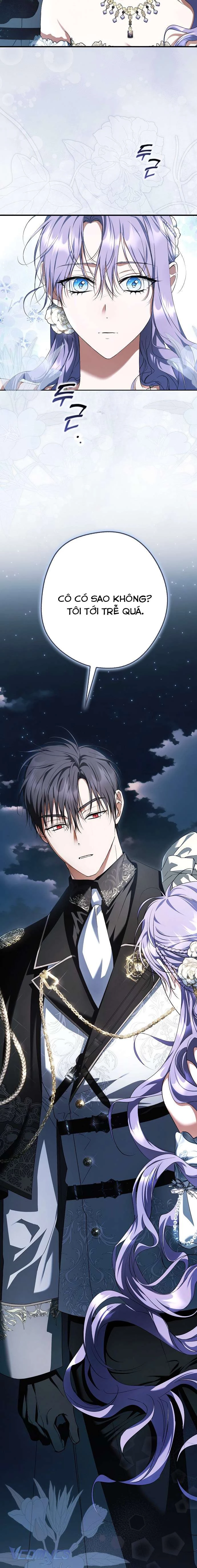 Các Nam Chính Đã Bị Nữ Phụ Cướp Mất Chapter 48 - 20