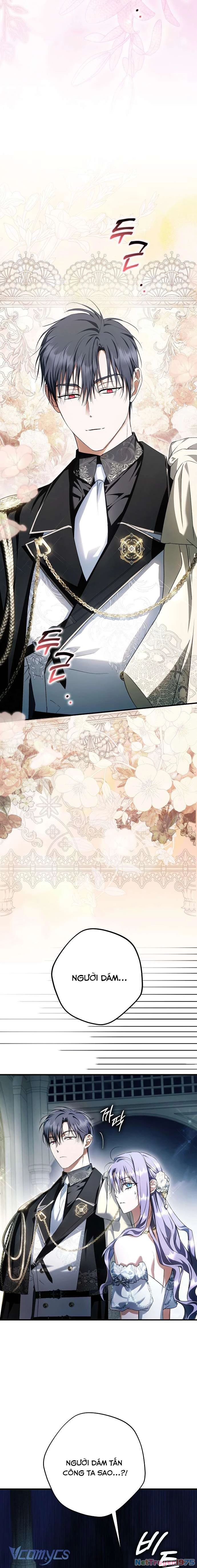 Các Nam Chính Đã Bị Nữ Phụ Cướp Mất Chapter 48 - 23