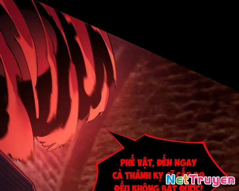 Thánh Hiệp Sĩ Cấp Sss Chapter 75 - 81