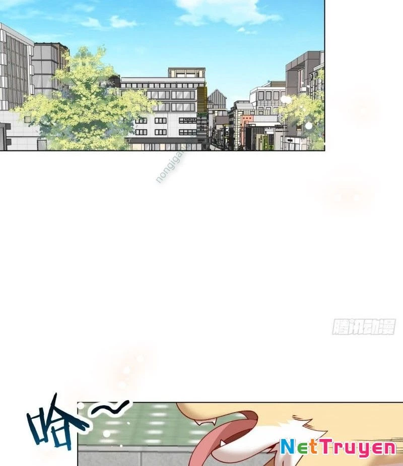 Kế Hoạch Nuôi Dưỡng Streamer Của Cẩu Hoàng Chapter 16 - Trang 2
