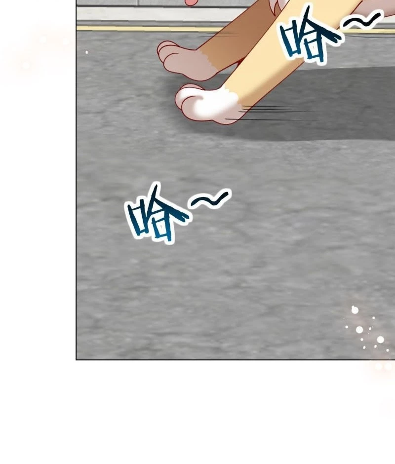 Kế Hoạch Nuôi Dưỡng Streamer Của Cẩu Hoàng Chapter 16 - Trang 2