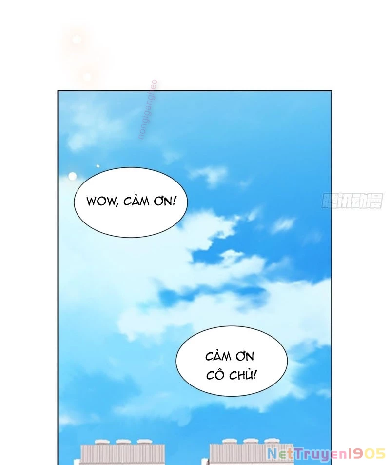 Kế Hoạch Nuôi Dưỡng Streamer Của Cẩu Hoàng Chapter 16 - Trang 2
