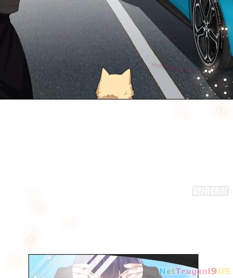 Kế Hoạch Nuôi Dưỡng Streamer Của Cẩu Hoàng Chapter 16 - Trang 2