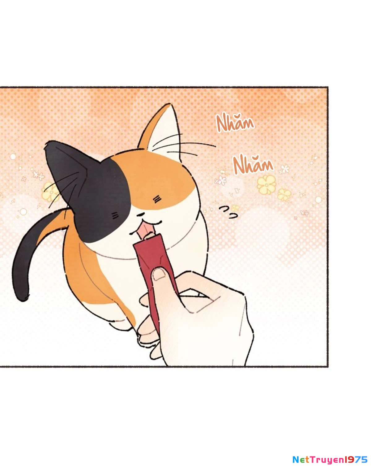 Cảm Xúc Chuyển Giao Chapter 1 - 19