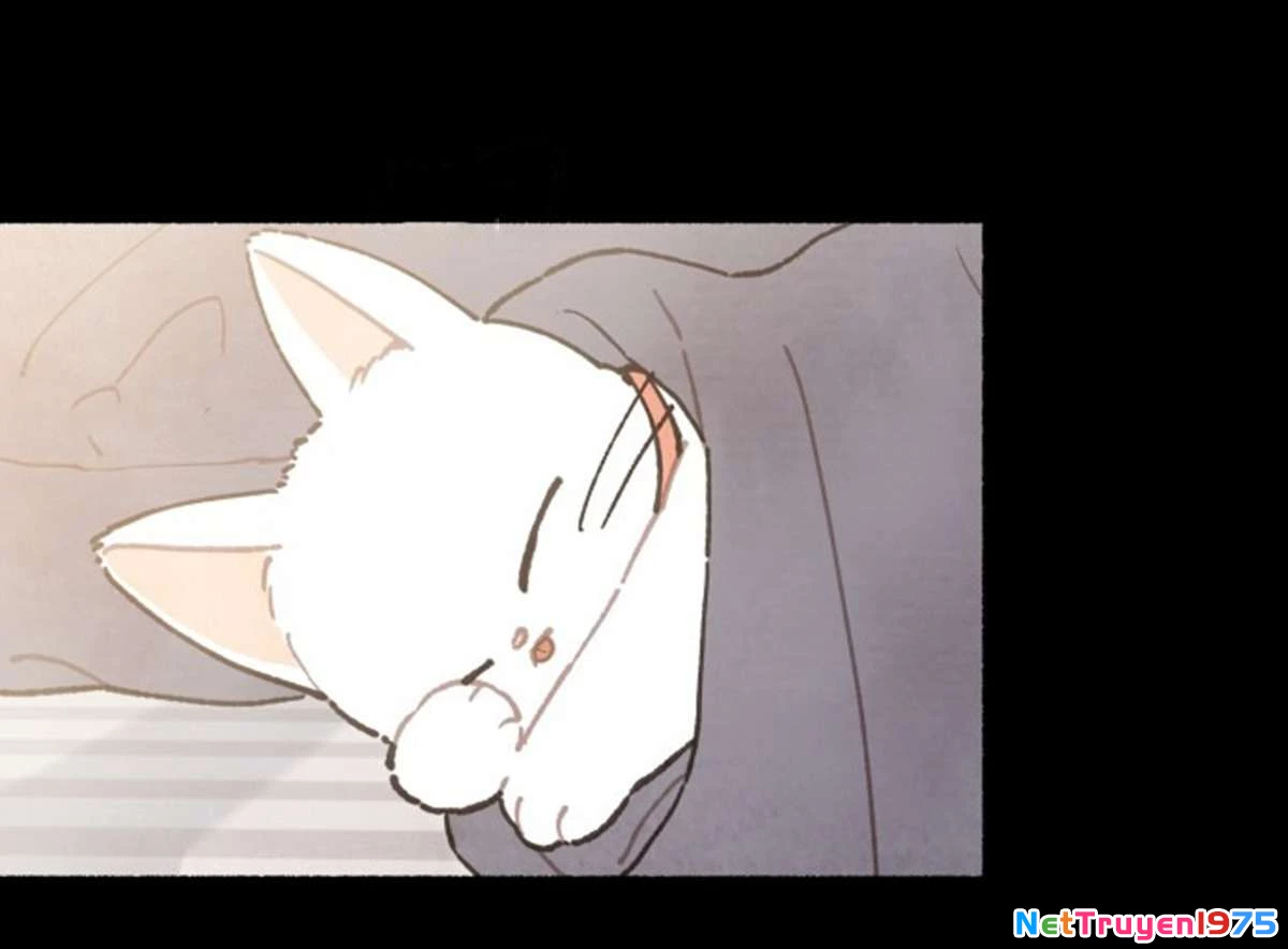 Cảm Xúc Chuyển Giao Chapter 1 - 42