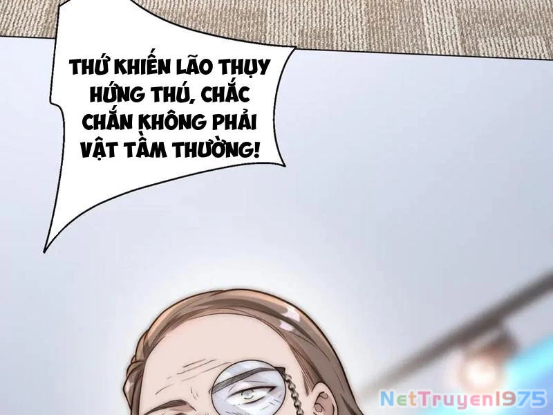 Giá Trị Hàng Hóa Giảm Trăm Vạn Lần Chapter 35 - 48