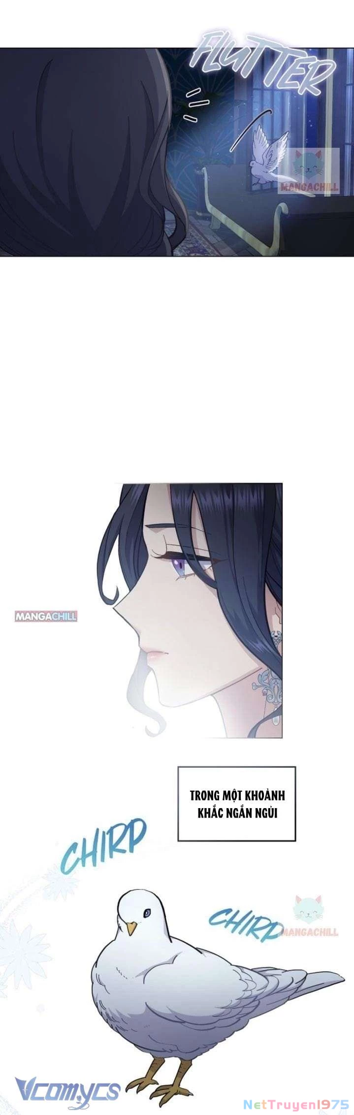 Hôn Nhân Giả Dối Chapter  13 - 24