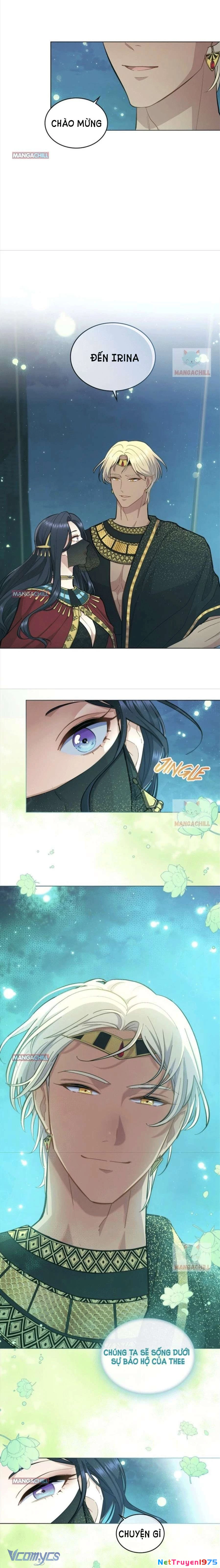 Hôn Nhân Giả Dối Chapter 16 - 6