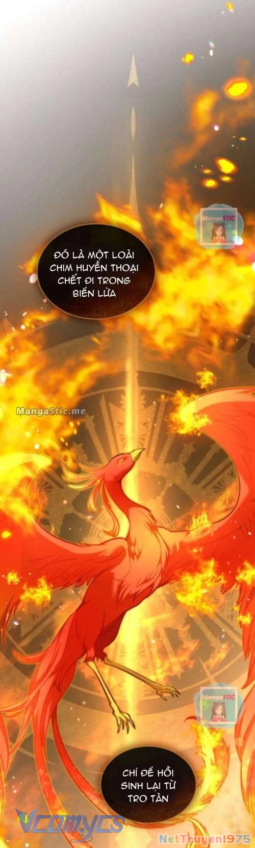 Hôn Nhân Giả Dối Chapter  25 - 10