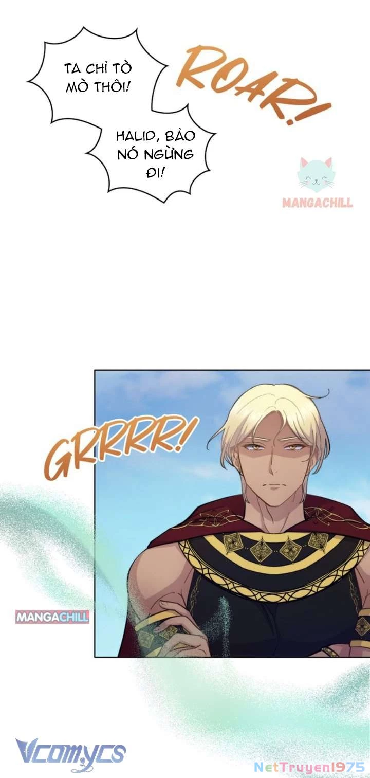 Hôn Nhân Giả Dối Chapter 26 - 67