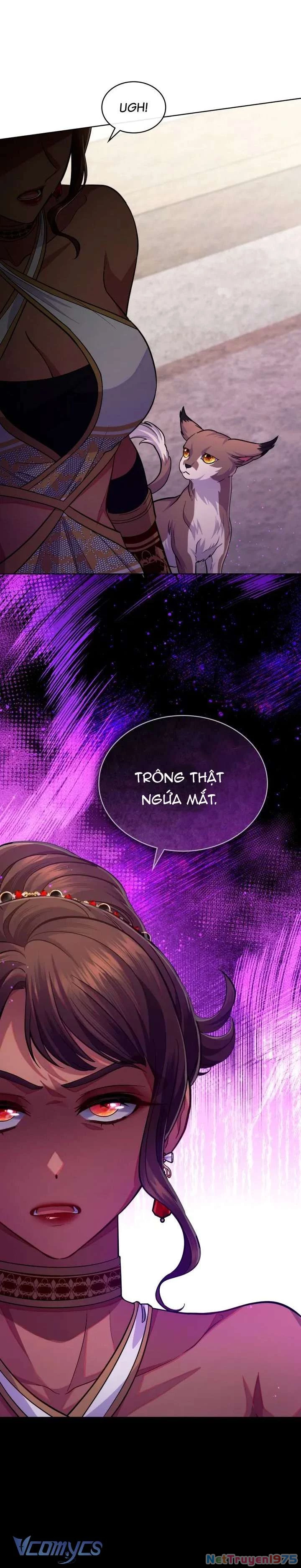 Hôn Nhân Giả Dối Chapter  63 - 13