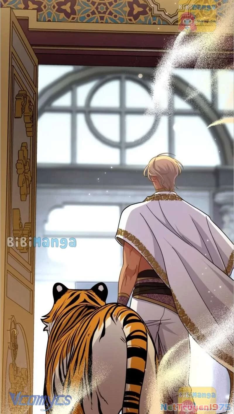 Hôn Nhân Giả Dối Chapter  72 - 37