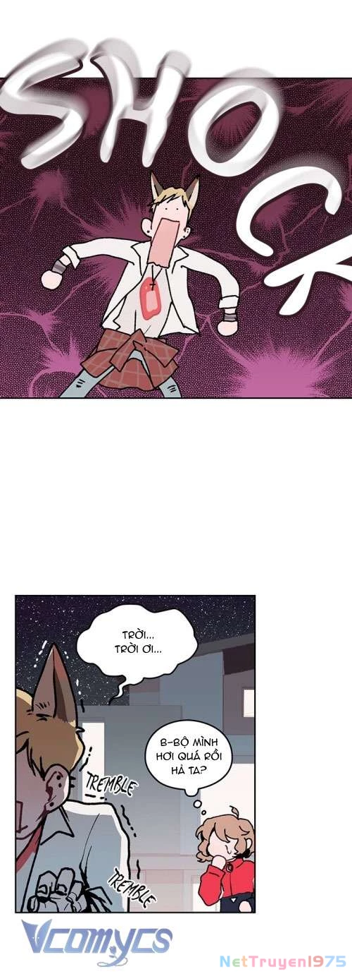 Cô Dâu Của Quái Vật Chapter 5 - 5