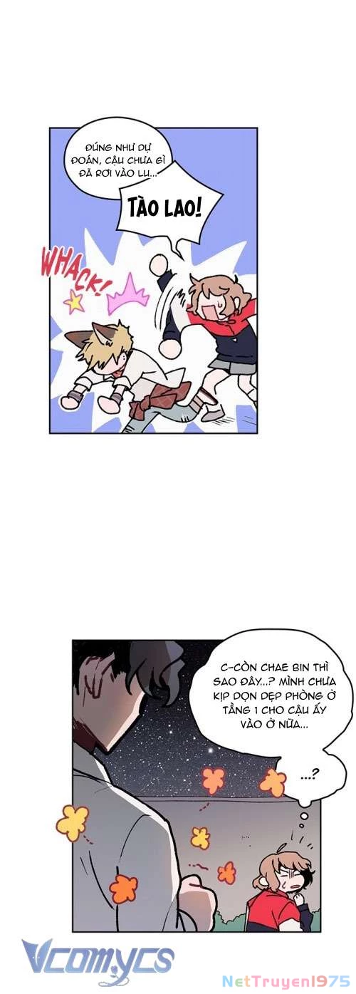 Cô Dâu Của Quái Vật Chapter 5 - 8