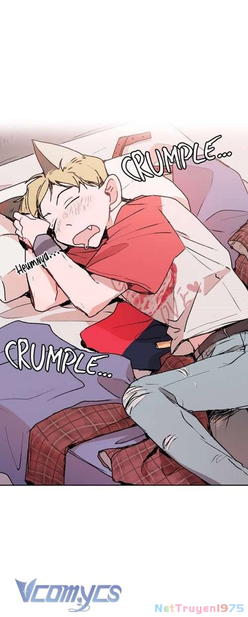 Cô Dâu Của Quái Vật Chapter 5 - 29