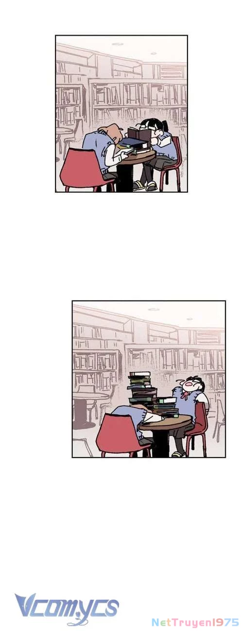 Cô Dâu Của Quái Vật Chapter 10 - 19