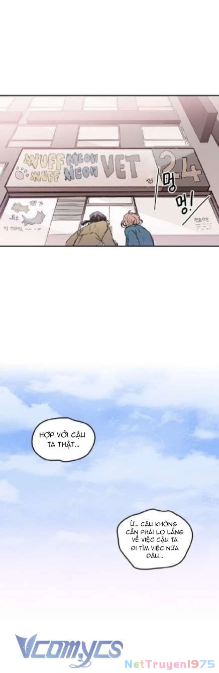 Cô Dâu Của Quái Vật Chapter 19 - 26