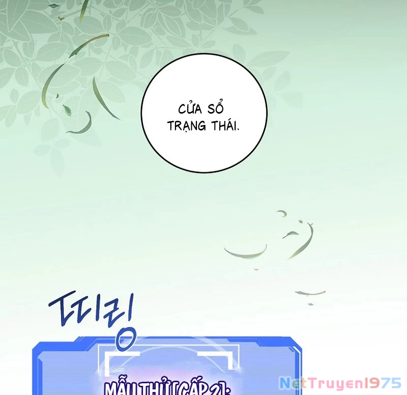 Bậc Thầy Toàn Bộ Kỹ Năng Chapter 7 - 195