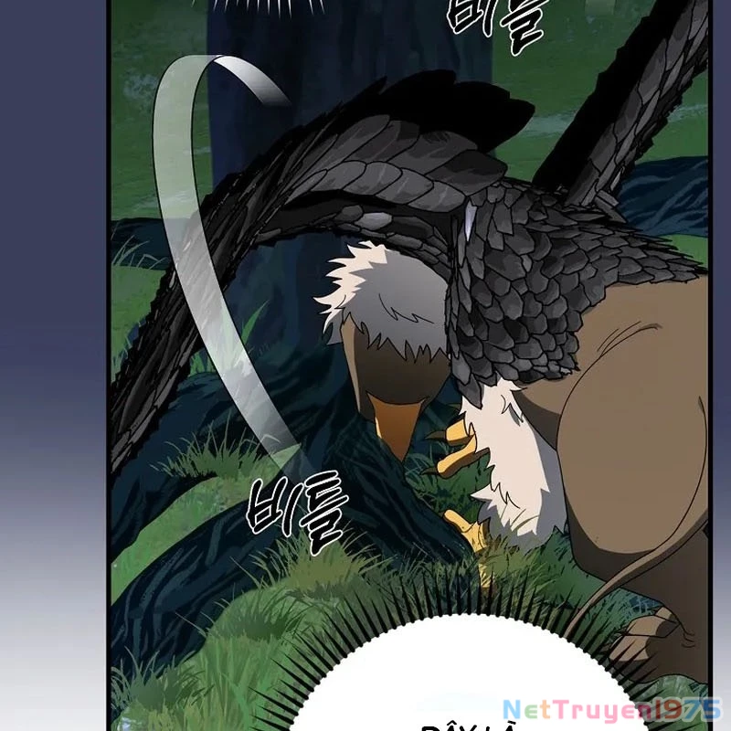 Bậc Thầy Toàn Bộ Kỹ Năng Chapter 12 - 63