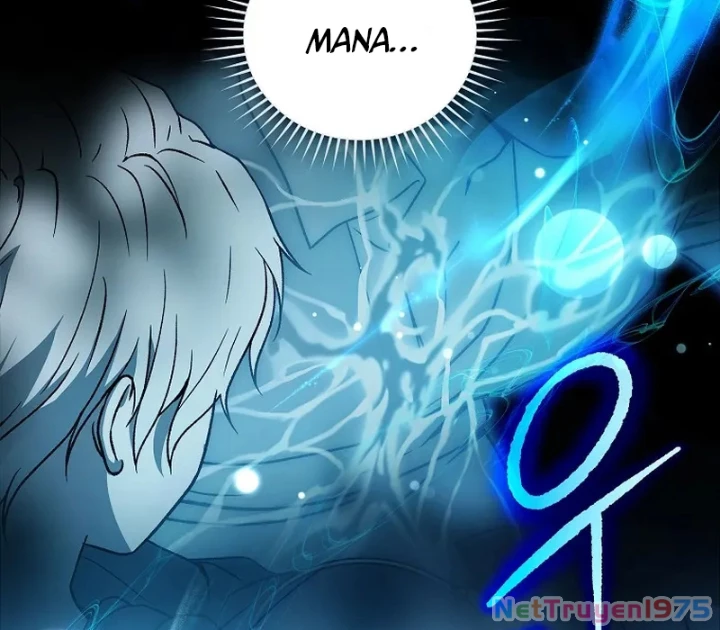 Thiên Tài Phép Thuật Nắm Bắt Khái Niệm Chapter 3 - 43