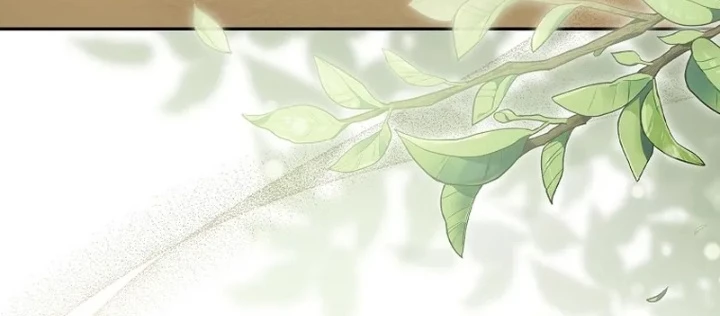 Thiên Tài Phép Thuật Nắm Bắt Khái Niệm Chapter 11 - 24