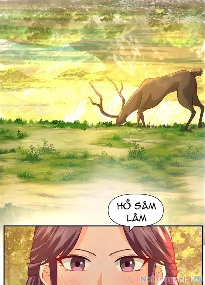 Tân Sủng Mị Chapter 74 - 25