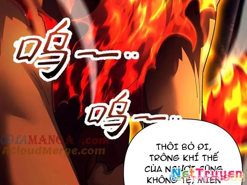 Bắt Đầu Chấn Kinh Nữ Đế Lão Bà, Ta Vô Địch! Chapter 76 - 151